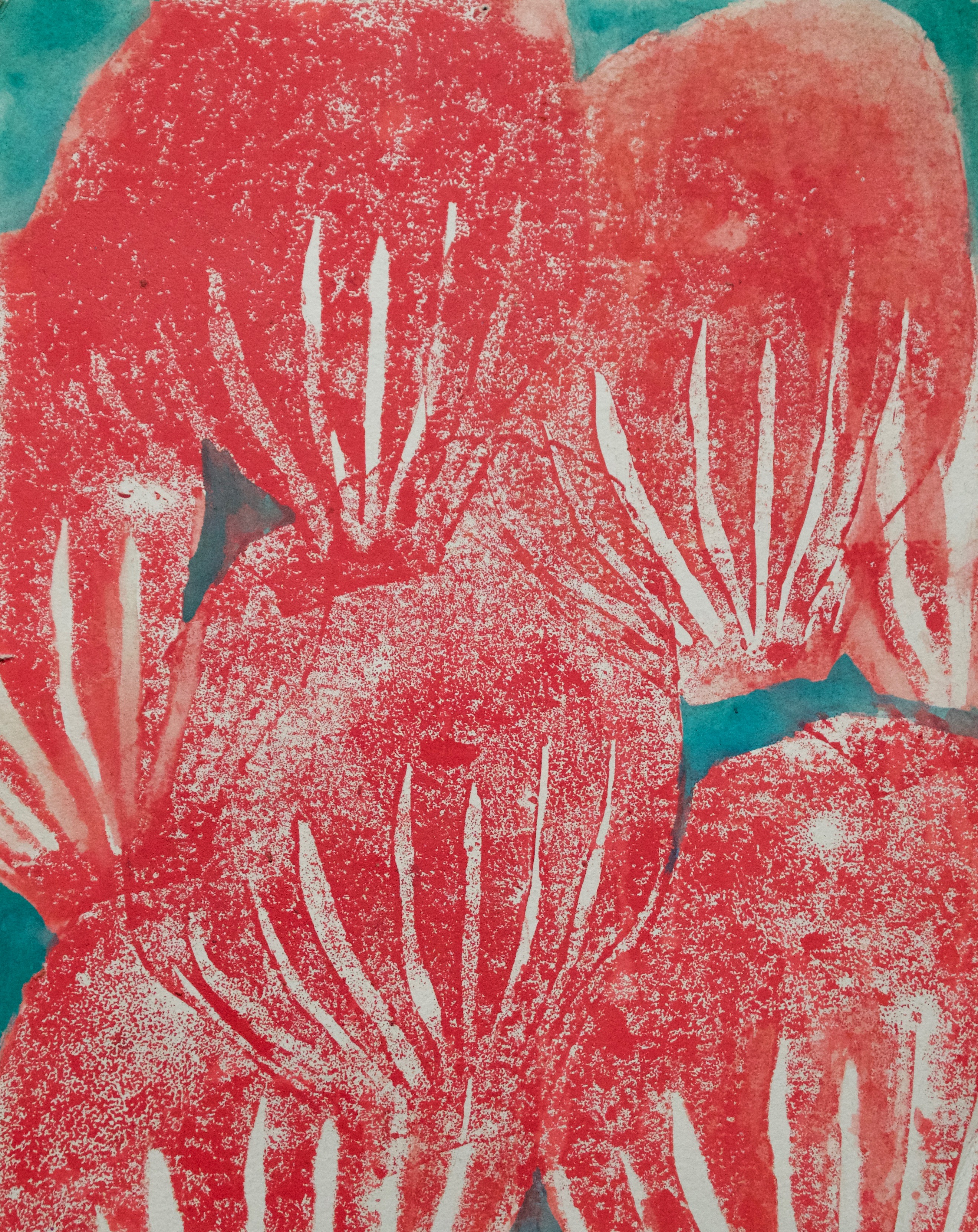 sea fan